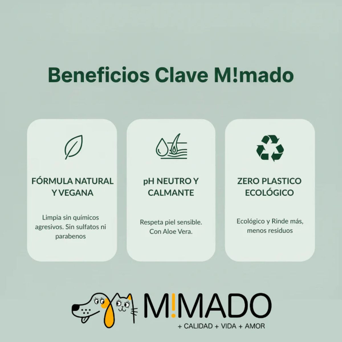 Champú Sólido Natural Mimado - Con las Caricias del Aloe Vera