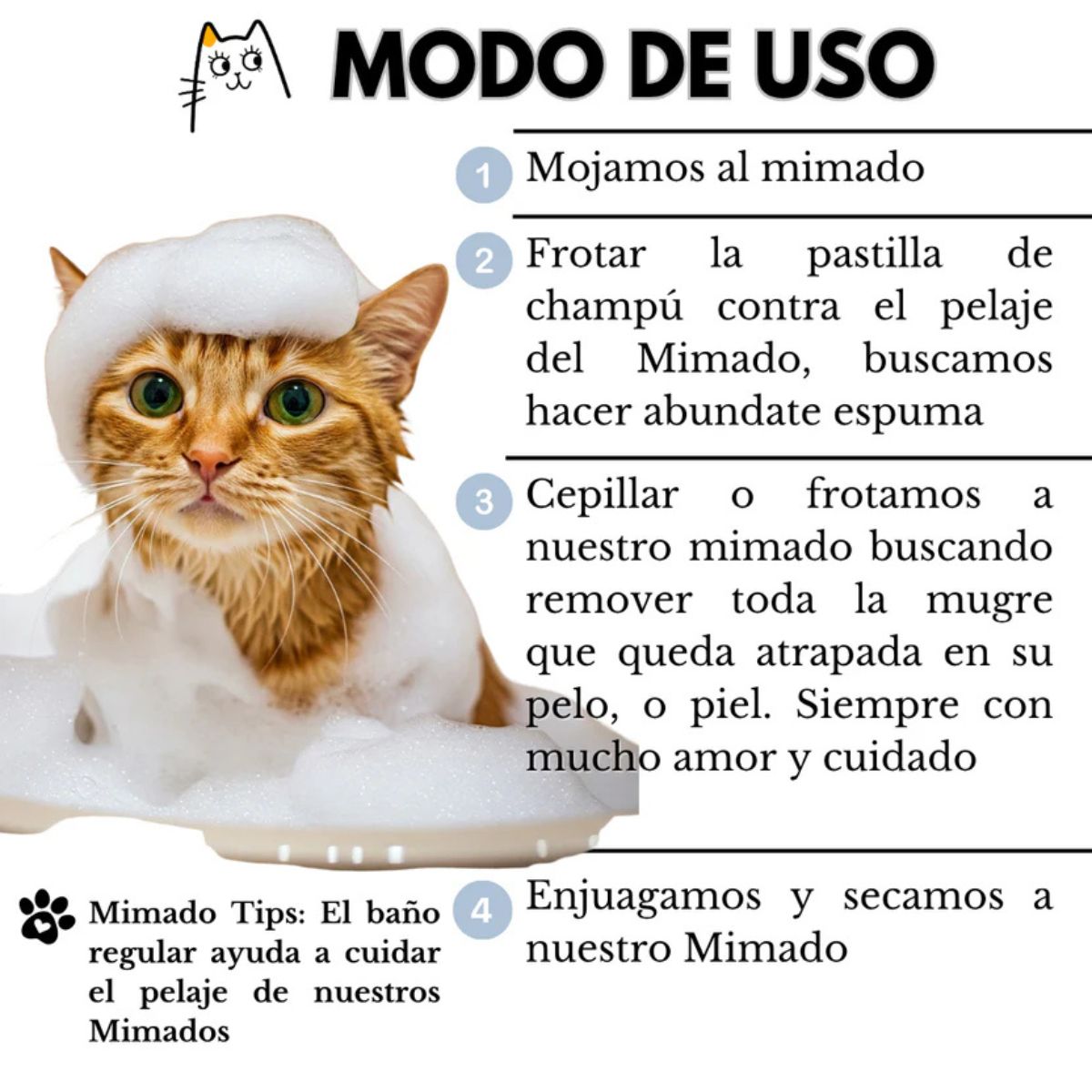 Champú Sólido