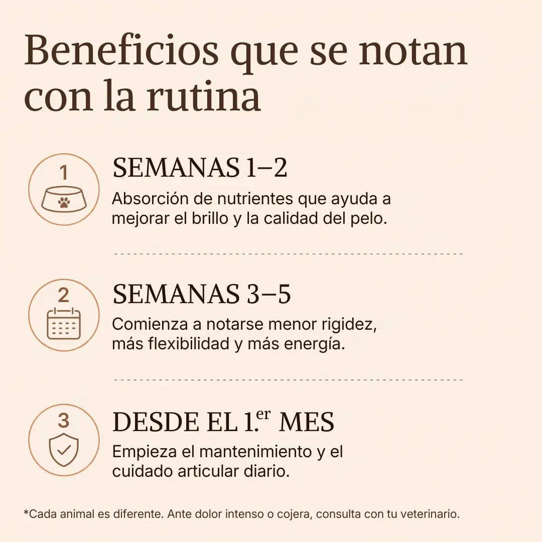 Artivida