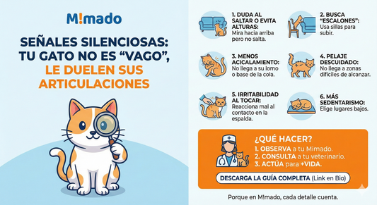 El lenguaje del silencio: Cómo entender y proteger las articulaciones de tu gato 🐾