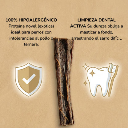 Piel de Camello (Snack Hipoalergénico)