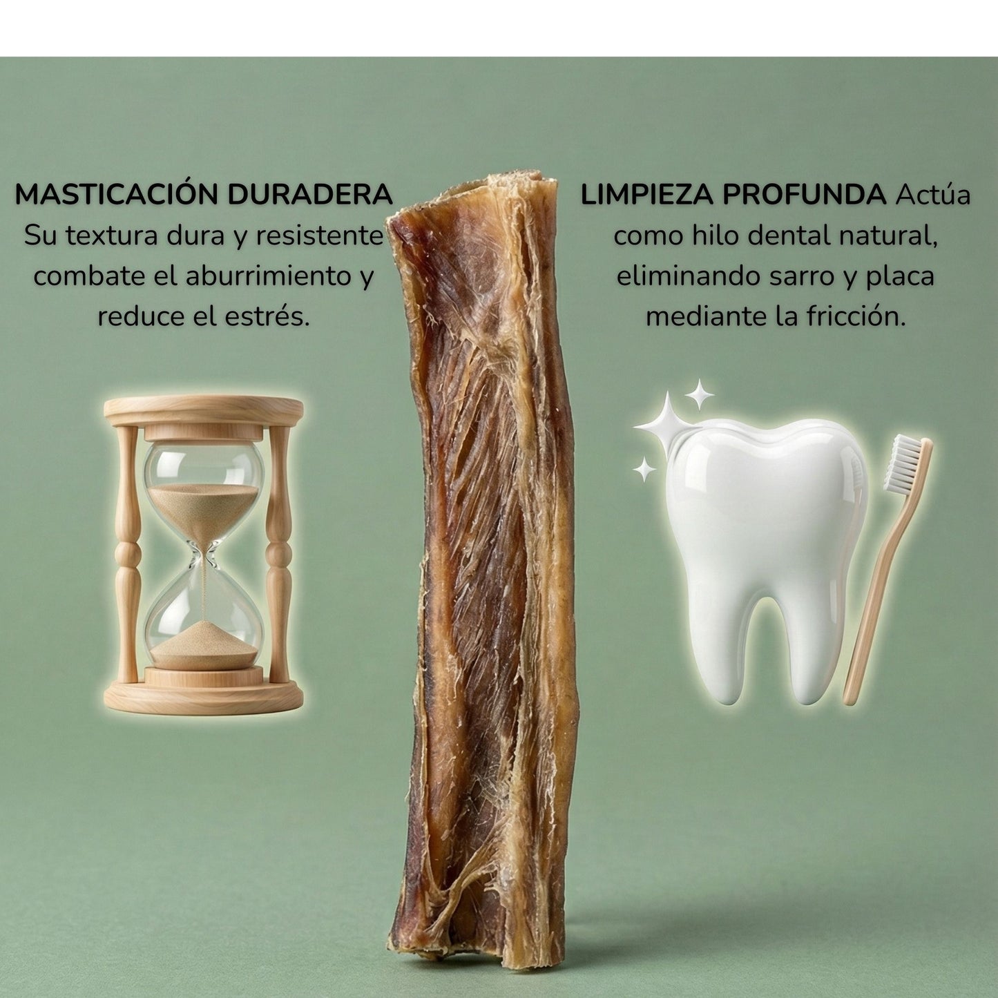 Caravaca de Ciervo - Mordedor Natural para Perros Rico en Proteína y Fibra