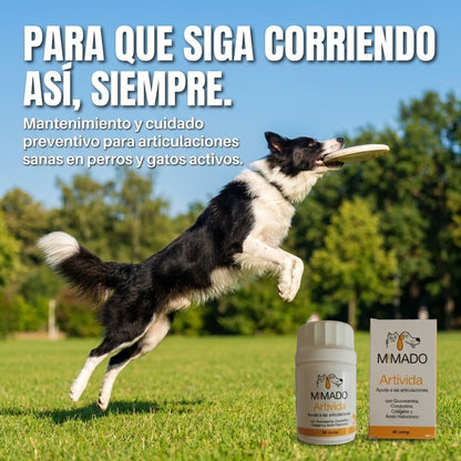 Condroprotector Premium 6 en 1 ArtiVida | Perros y Gatos 🦴