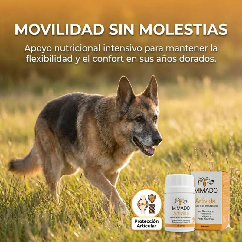Suplemento Articular Natural ArtiVida | Perros y Gatos 🦴