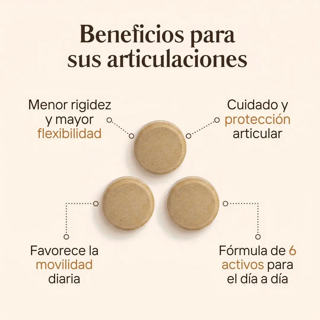 Artivida