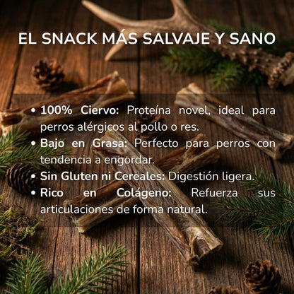 Caravaca de Ciervo - Mordedor Natural para Perros Rico en Proteína y Fibra