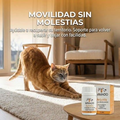 Condroprotector Premium 6 en 1 ArtiVida | Perros y Gatos 🦴