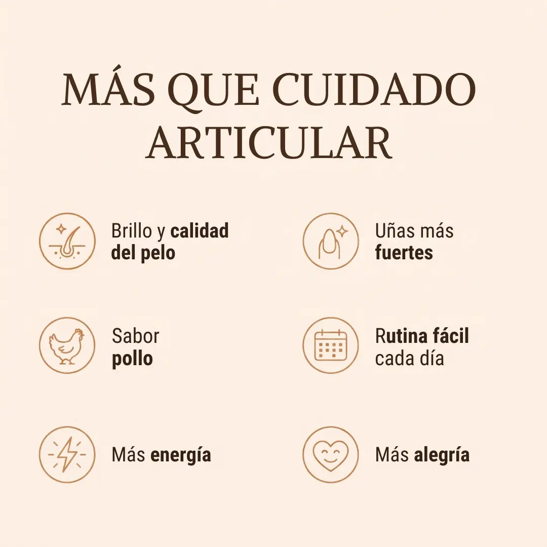 Artivida