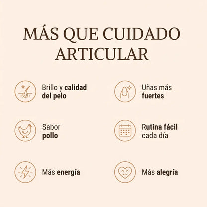 Artivida