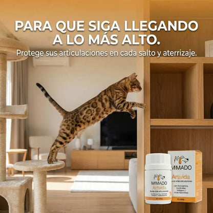 Suplemento Articular Natural ArtiVida | Perros y Gatos 🦴