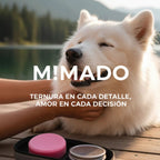Champú Sólido Natural Mimado - Con las Caricias del Aloe Vera