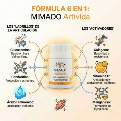Condroprotector Premium 6 en 1 ArtiVida | Perros y Gatos 🦴