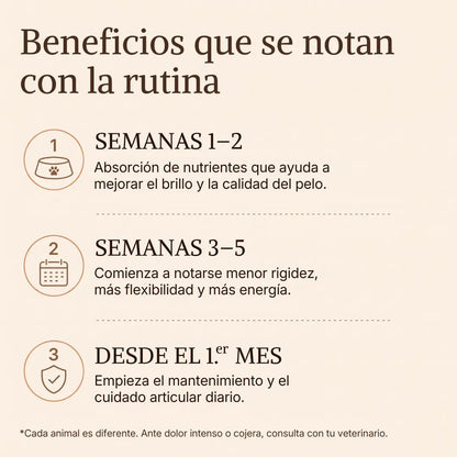 Artivida