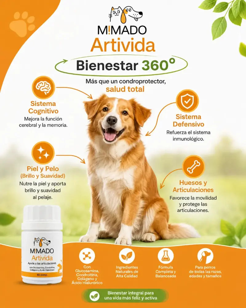 Suplemento Articular Natural ArtiVida | Perros y Gatos 🦴