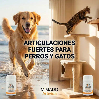 Suplemento Articular Natural ArtiVida | Perros y Gatos 🦴
