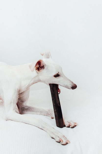 Mordedor de Madera de Ébano - Dureza Premium y Salud Dental para Perros