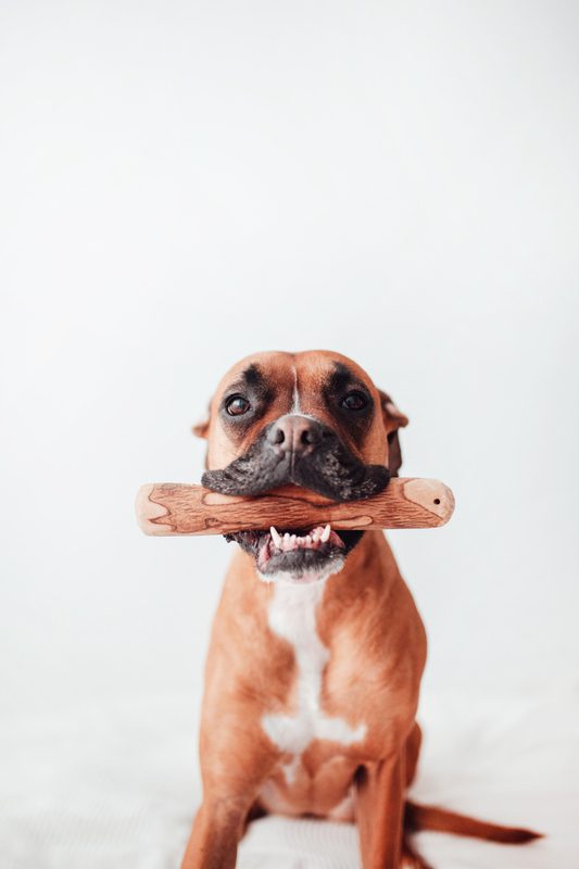 Mordedor de Madera de Olivo - Calmante Natural y Dental Para Perros