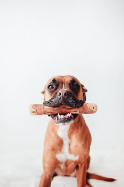 Mordedor de Madera de Olivo - Calmante Natural y Dental Para Perros