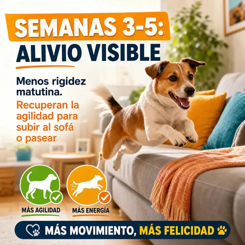 Suplemento Articular Natural ArtiVida | Perros y Gatos 🦴