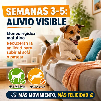 Suplemento Articular Natural ArtiVida | Perros y Gatos 🦴