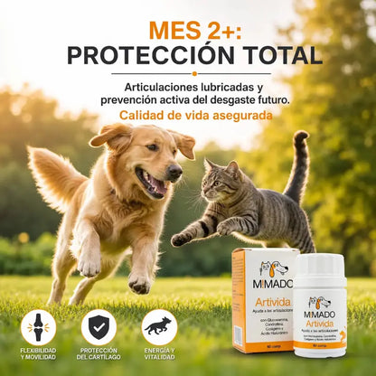 Suplemento Articular Natural ArtiVida | Perros y Gatos 🦴