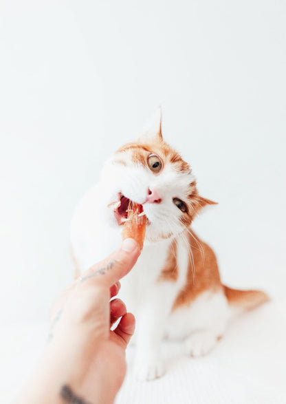 Filetes de Pollo Deshidratado - Snack Natural Rico en Proteínas para Perros y Gatos