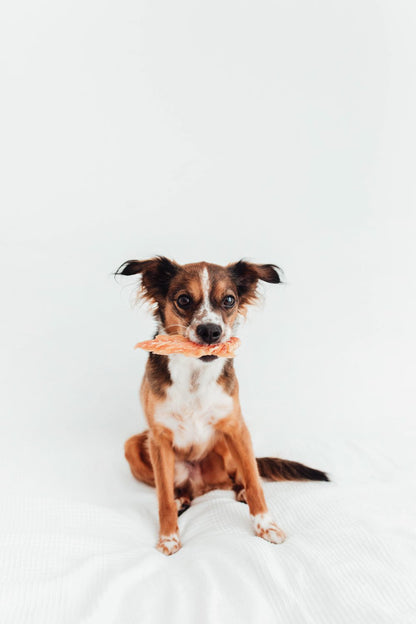 Filetes de Pollo Deshidratado - Snack Natural Rico en Proteínas para Perros y Gatos